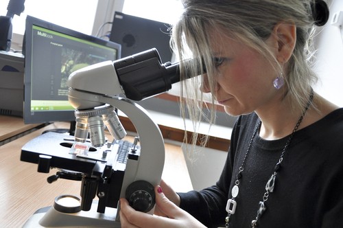 Fot. Tymoteusz Tymiński