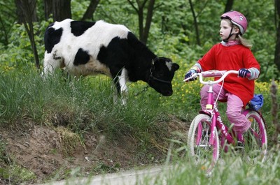 Fot. Andrzej Goiński