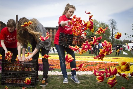 Bydgoskie dywany kwiatowe