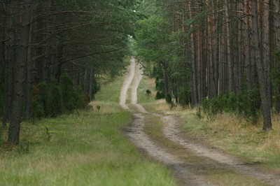 Pół wieku tucholskiej szkoły leśników