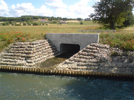 Fot. rzeka Pręczawa (powiat grudziądzki)