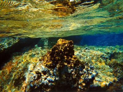 Paula Werblicka lat 18 Wrocław