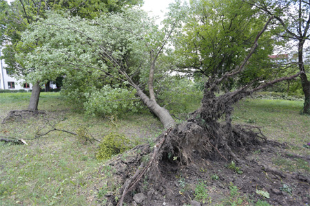 Skutki lipcowej nawałnicy, fot. Mikołaj Kuras