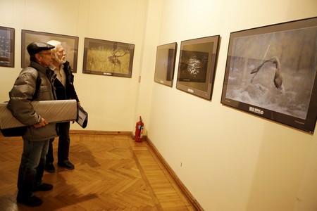 Finał VIII Festiwalu Fotografii Przyrodniczej „Sztuka Natury” 2015, fot. Mikołaj Kuras