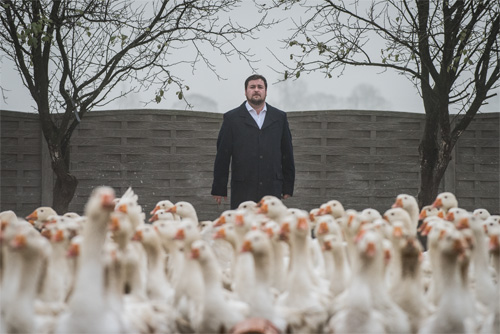 Prof. Marek Adamski na gęsiej fermie w Więzownie w pow. bydgoskim 