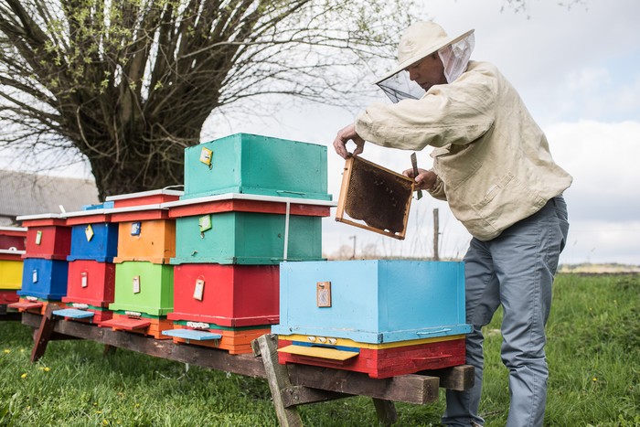 Sławomir Wnuk, fot. Tymon Markowski