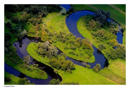 Drwęca w rejonie Brodnicy, fot. Daniel Pach