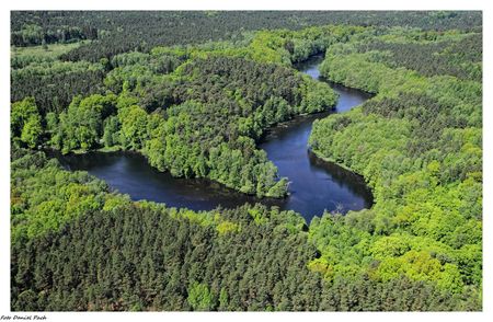 Wdecki Park Krajobrazowy, fot. Daniel Pach