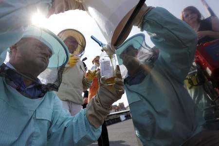 Miodobranie na dachu Urzędu Marszałkowskiego w Toruniu, fot. Mikołaj Kuras