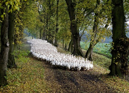 Fot. Bronisław Borys