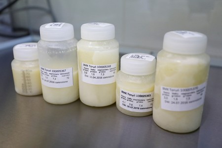 Najzdrowszy w pierwszym etapie życia pokarm przechowywany jest bardzo starannie, fot. Mikołaj Kuras