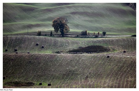 Krajeński Park Krajobrazowy, fot. Daniel Pach