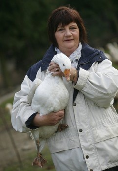 Ludwika Mrówczyńska, gospodyni i hodowczyni gęsi z Michalina w powiecie nakielskim, fot. Andrzej Goiński