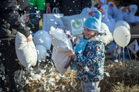Festiwal w Przysieku, fot. Szymon Zdziebło/tarantoga.pl