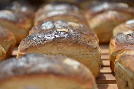 fot. Kujawsko-Pomorska Organizacja Turystyczna