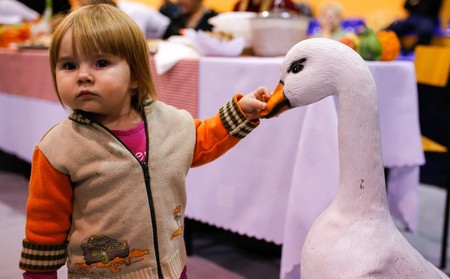 11.11.2016r., Rypiński „Festiwal rodzinny z gęsiną w tle”, fot. Mikołaj Kuras