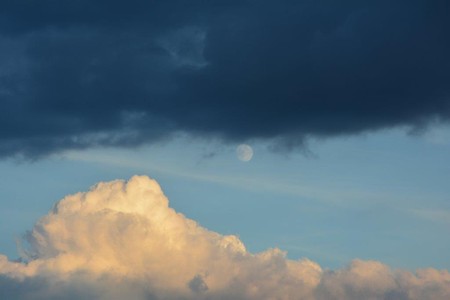 Zdjęcie wykonane przez Jana Dominikowskiego ucznia (8 lat) ze SP nr 14 we Włocławku (nagrodzona praca)