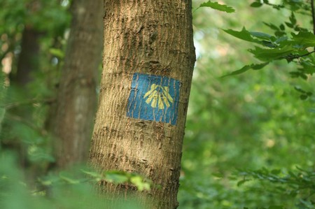 Oznakowanie Camino Polaco