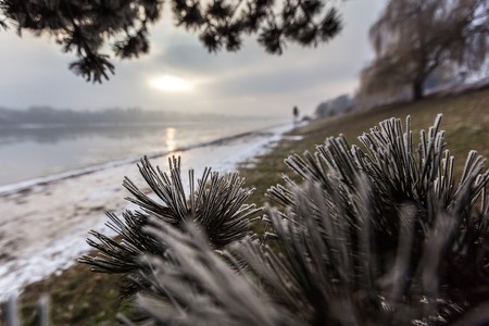 Zimowa natura, fot. Szymon Zdziebło/tarantoga.pl