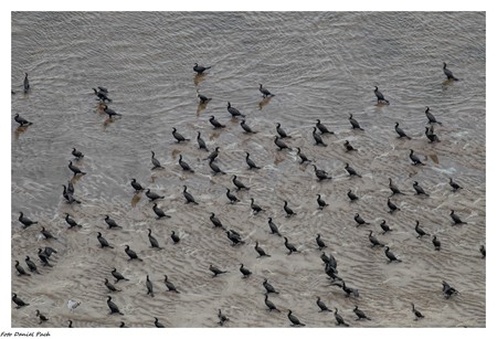 Zespół Nadwiślańskich Parków Krajobrazowych, fot. Daniel Pach