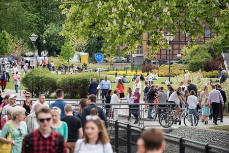 Fot. Tymon Markowski