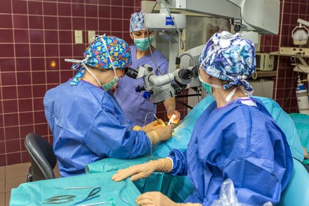 Operacja w Wojewódzkim Szpitalu Specjalistycznym we Włocławku, fot. Szymon Zdziebło/tarantoga.pl dla UMWKP