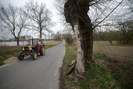 Fot. Jacek Smarz dla UMWKP