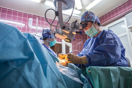 Fot. Szymon Zdziebło/tarantoga.pl dla UMWKP