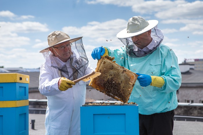 Fot. Szymon Zdziebło/tarantoga.pl dla UMWKP Fot. Szymon Zdziebło/tarantoga.pl dla UMWKP