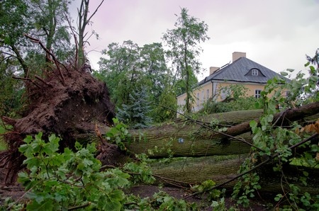 Zniszczony przez nawałnicę park pałacowy w Lubostroniu, fot. z archiwum Pałacu Lubostroń