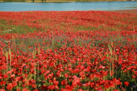 Fot. Kujawsko-Pomorska Organizacja Turystyczna