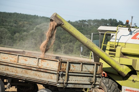 Kujawsko-Pomorskie to region tradycyjnie przodujący w produkcji żywności, fot. Tymon Markowski