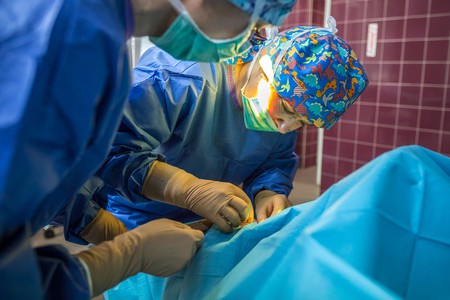 Fot. Szymon Zdziebło/tarantoga.pl dla UMWKP