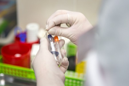 Fot. Szymon Zdzieblo/tarantoga.pl dla UMWKP