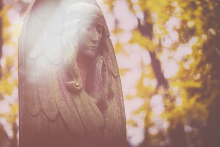 Fot. Daniel Pach dla UMWKP