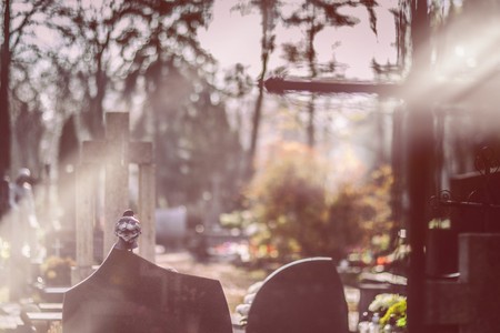 Fot. Daniel Pach dla UMWKP