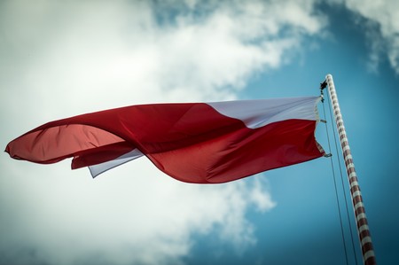 Fot. Tymon Markowski