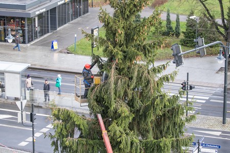 Montaż choinki przed Urzędem Marszałkowskim w Toruniu, fot. Andrzej Goiński/UMWKP
