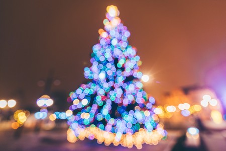 Choinka UM - fot. Łukasz Piecyk