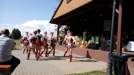 Dożynki w Drzycimiu 27.08.2017 - okazja do świętowania i ... edukowania