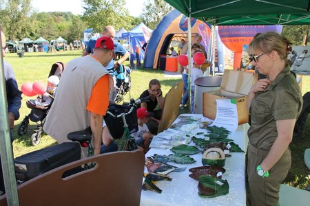 Stoisko promocyjno-edukacyjne Górznieńsko-Lidzbarskiego Parku Krajobrazowego i "Zielony zawrót głowy" - fotorelacja z festynu żołnierskiego (15.08.2017) w Leśnym Parku Kultury i Wypoczynku w Myślęcinku.