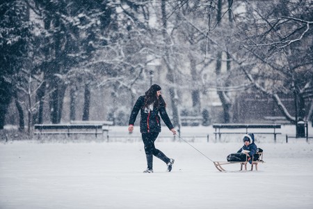 16.01.2018, Zimowa aura w Parku Kochanowskiego w Bydgoszczy, fot. Filip Kowalkowski