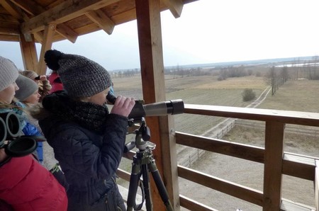 fot. Piotr Twardowski