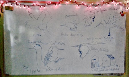 Poznajemy Parki Krajobrazowe Województwa Kujawsko-Pomorskiego w Szkole Podstawowej w Jeżewie.