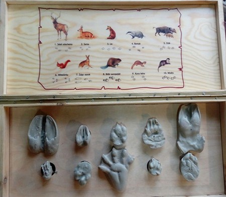 spotkanie z zielonym edukatorem WPK