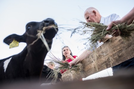 Zielona opieka, fot. Tymon Markowski dla UMWKP