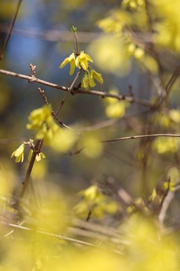 Fot. Filip Kowalkowski dla UMWKP