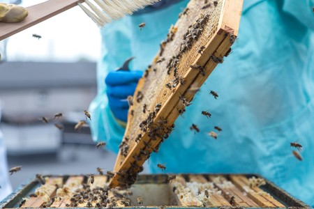 Fot. Szymon Zdzebło/tarantoga.pl dla UMWKP