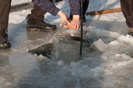 Cięcie lodu - 01.03.2018 ZPKChiN