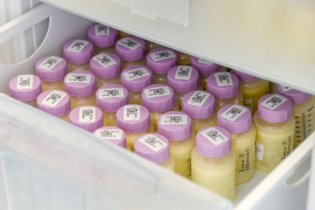 Piąte urodziny Banku Mleka w Toruniu, fot. Łukasz Piecyk dla UMWKP